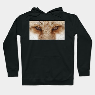 Fox Eyes Hoodie